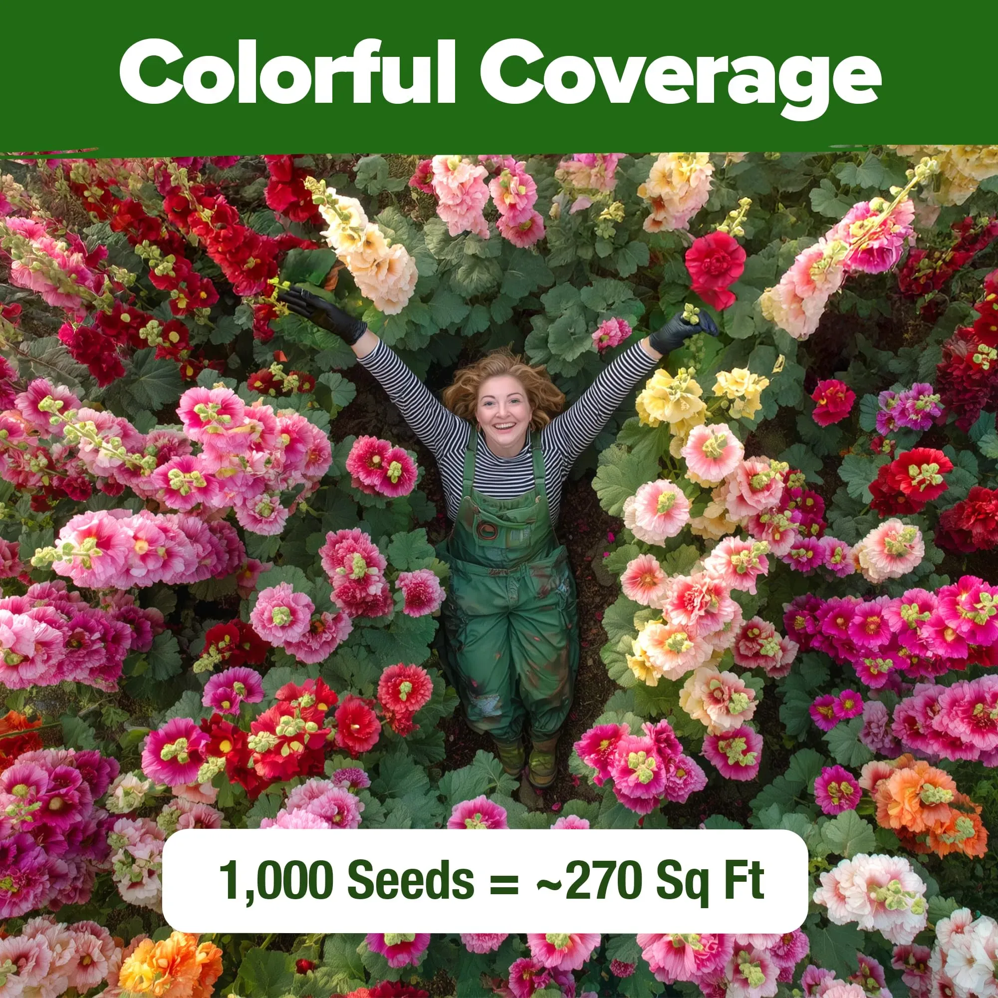 High Germination Rate Flower Seed Assortment, Hollyhock, Cosmos & Lavender Bulk Seeds for Outdoor Garden Planting