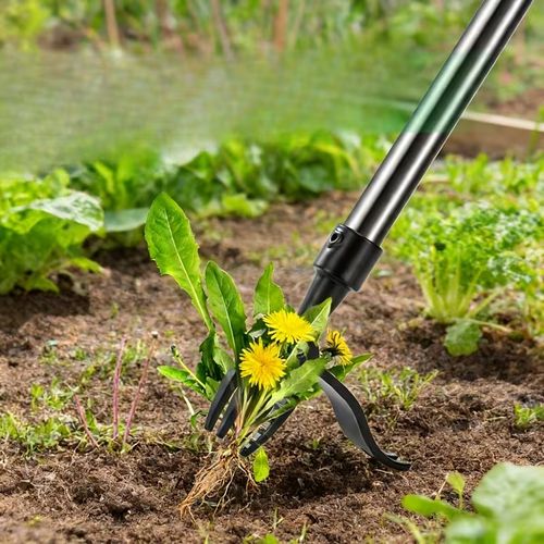 Long Handle Stand Up Weed Puller with 4-Claw Steel Head, Labor Saving Root Extractor No Bending or Kneeling for Lawn Dandelion Removal, Perfect Gift for Father Grandpa Husband and Men