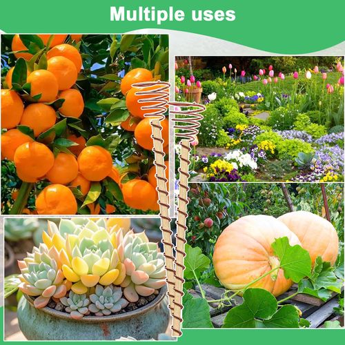 6PCS Electroculture Plant Stakes with Copper Coil Wire, Wooden Garden Support Rods for Indoor and Outdoor Gardening, Potted Plants, Vegetables and Flowers, COD Free Shipping and Pay on Delivery