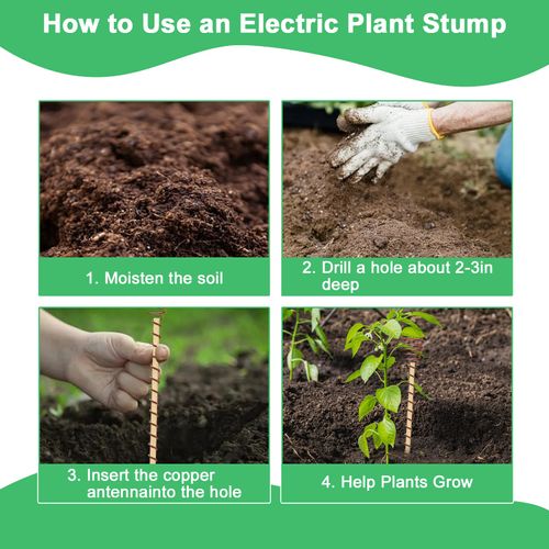 6PCS Electroculture Plant Stakes with Copper Coil Wire, Wooden Garden Support Rods for Indoor and Outdoor Gardening, Potted Plants, Vegetables and Flowers, COD Free Shipping and Pay on Delivery