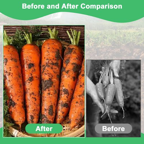 6PCS Electroculture Plant Stakes with Copper Coil Wire, Wooden Garden Support Rods for Indoor and Outdoor Gardening, Potted Plants, Vegetables and Flowers, COD Free Shipping and Pay on Delivery