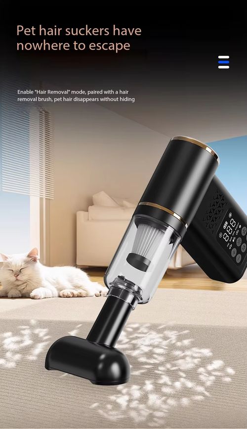 Multifunction vacuum cleaner, air pump