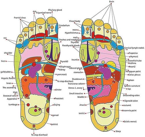 🔥Hot Seller🔥 COD！Acupressure and Magnetic Therapy Slippers