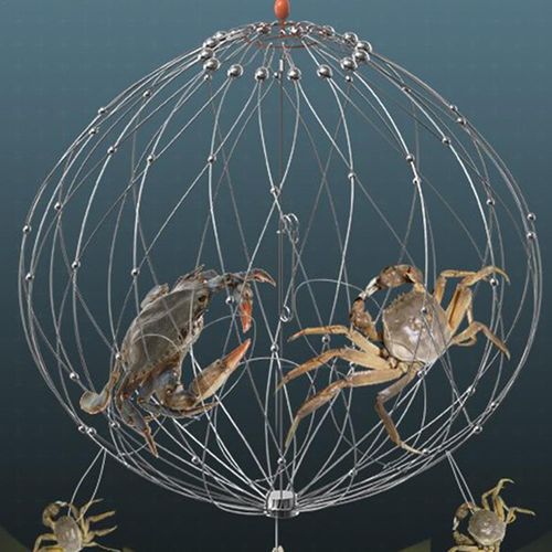 Automatic Opening & Closing Fishing Net Cage