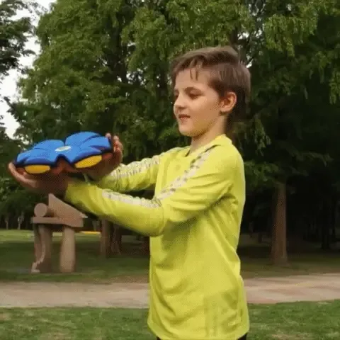 🐾Pet Toy Flying Saucer Ball🔥