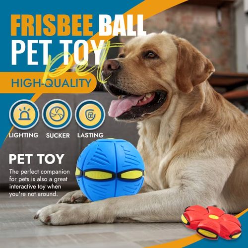 🐾Pet Toy Flying Saucer Ball🔥