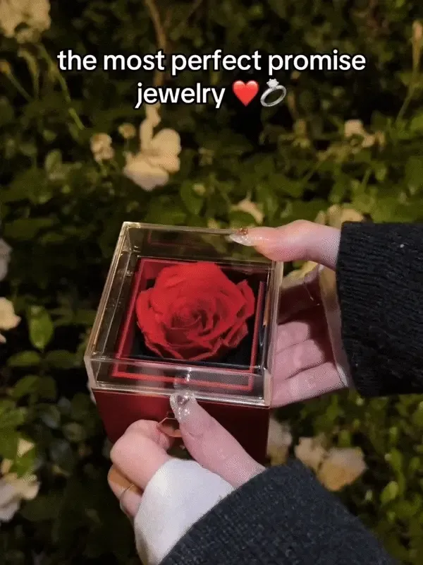 🌹 Eternal Rose Box -WLoveKnight Necklace