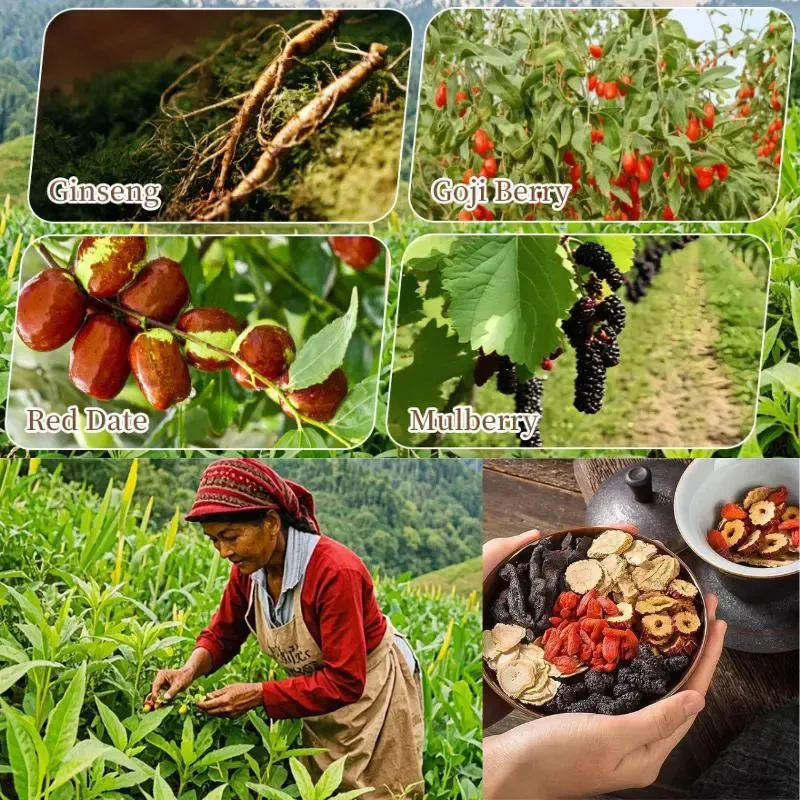 Chá para os Rins, Ginseng, Chá Cinco Tesouros, Combinação de Chás Aromáticos, Chá Oito Tesouros, Chá de Tâmara Vermelha, Chá de Goji, Chá Masculino, Chá para a Saúde, Chá de Ervas de Amora, Chá para a Saúde, 20 saquetas, Biológico