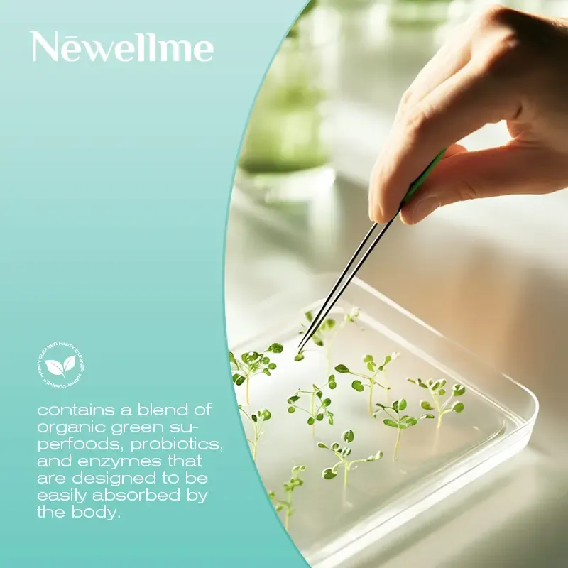 Pó probiótico de melancia para mulheres, homens e crianças, prebiótico para a digestão e saúde intestinal e imunitária - sem glúten e não transgénico, alimento saudável.