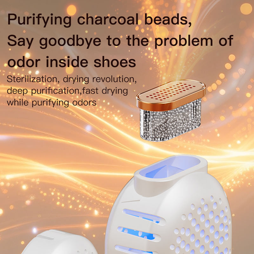 Smart deodorizing shoe dryer