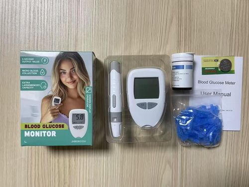 Blood glucose meter