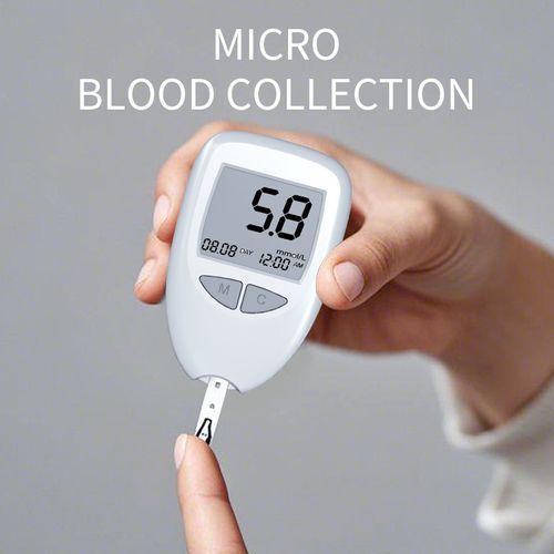 Blood glucose meter