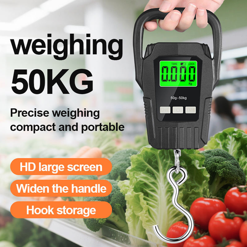 Portable electronic scale