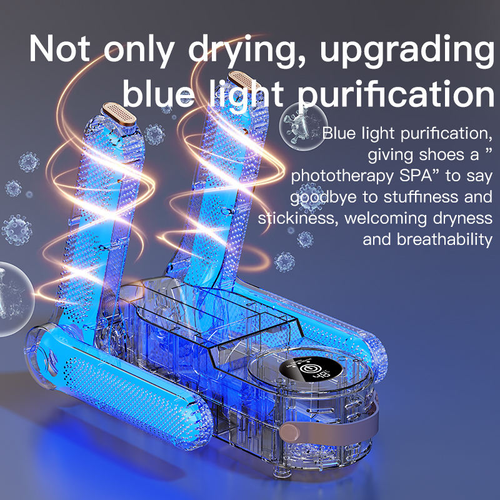 Smart deodorizing shoe dryer