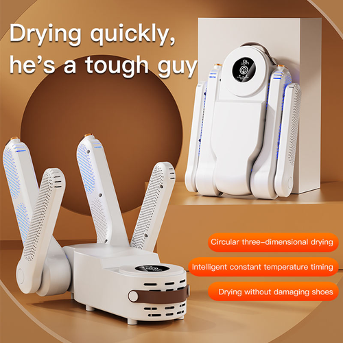 Smart deodorizing shoe dryer