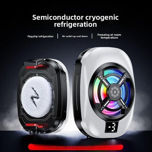 Smartphone Cooler