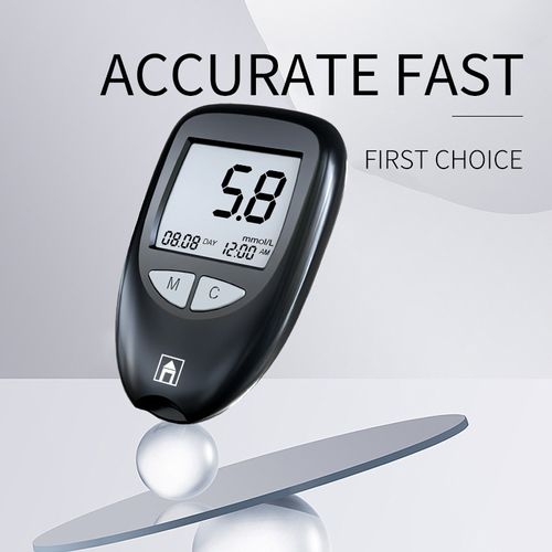 Blood glucose meter