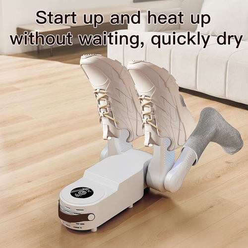 Smart deodorizing shoe dryer