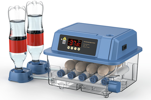 Fully automatic egg incubator