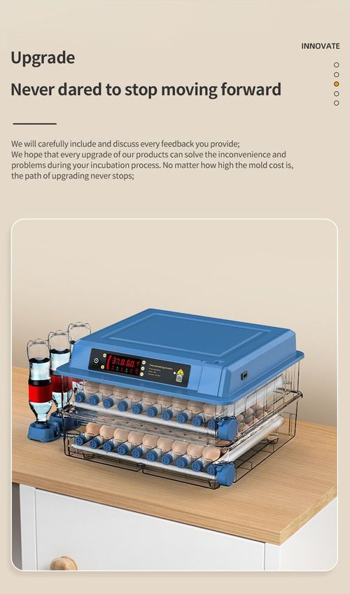 Fully automatic egg incubator