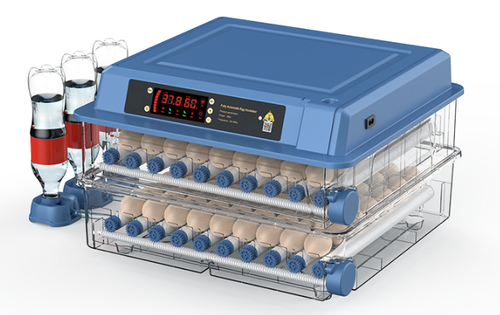 Fully automatic egg incubator