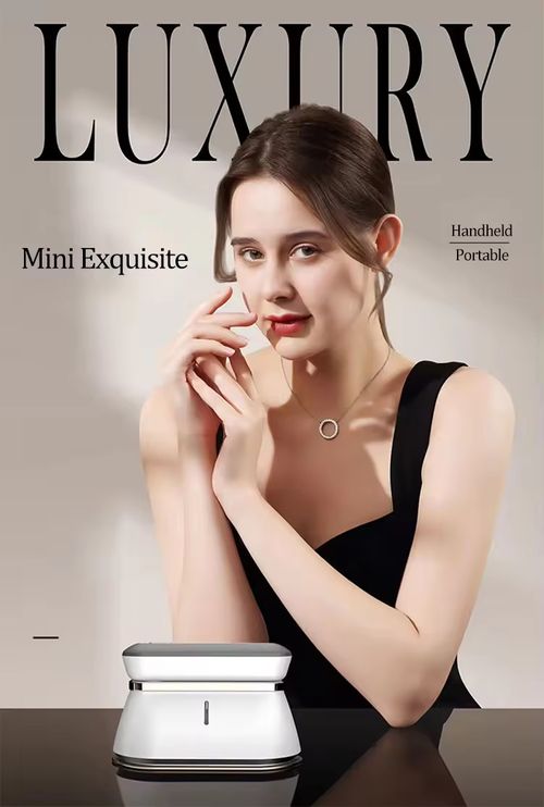 Défroisseur ménager miniature rotatif sec et humide deux usages