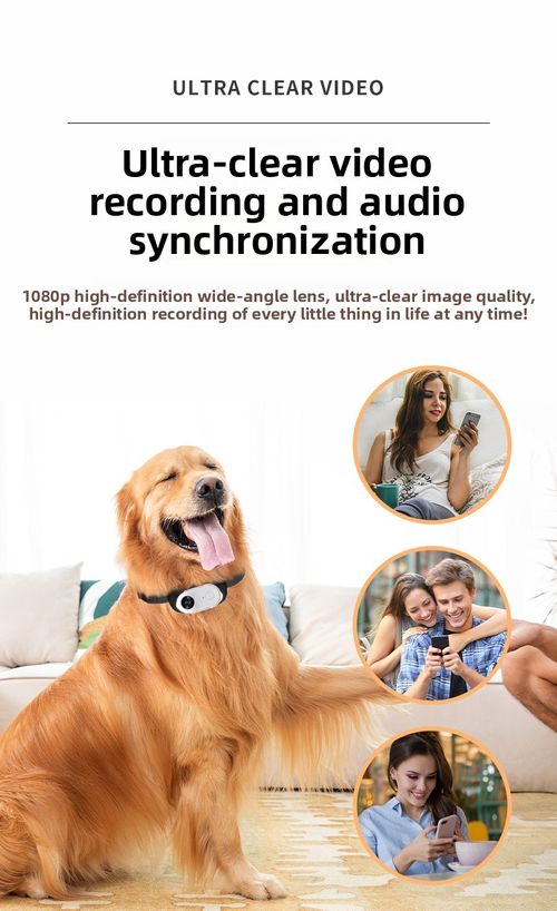 Caméra d'action portable pour cyclisme, voyage et enregistrement chats et chiens