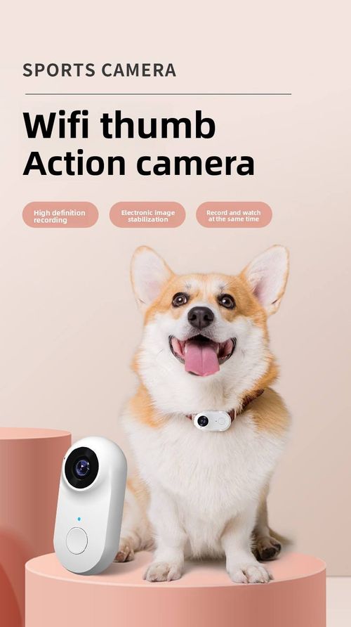 Caméra d'action portable pour cyclisme, voyage et enregistrement chats et chiens