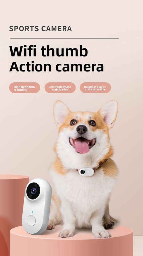 Caméra d'action portable pour cyclisme, voyage et enregistrement chats et chiens