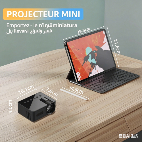 Projecteur portable