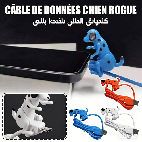 Câble de chargement chiot mignon style sport