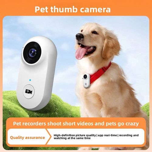 Caméra d'action portable pour cyclisme, voyage et enregistrement chats et chiens