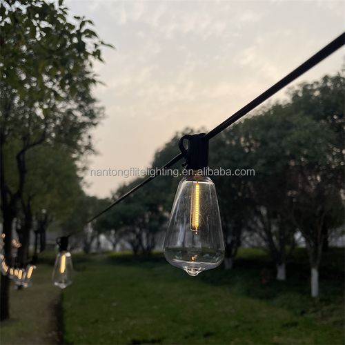 50FT 50 bulb outdoor ST38 transparent LED bulb flower light courtyard wall string flower light