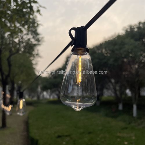 50FT 50 bulb outdoor ST38 transparent LED bulb flower light courtyard wall string flower light