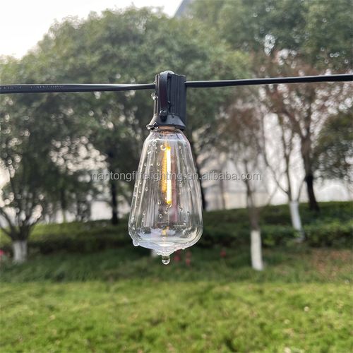 50FT 50 bulb outdoor ST38 transparent LED bulb flower light courtyard wall string flower light