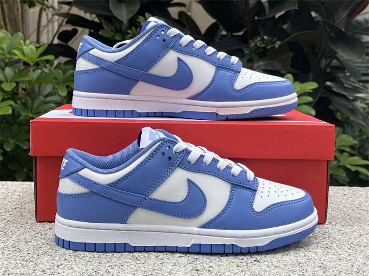 Nike Dunk Low Polar Blue DV0833-400