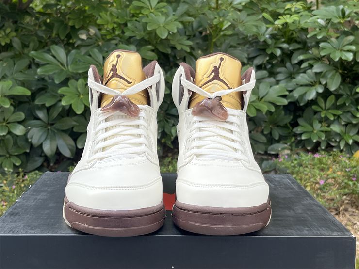 Air Jordan 5 Earth DD9336-200 Men Sneakers