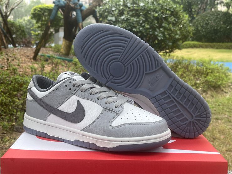 Nike Dunk Low Retro PRM Light Carbon Platinum Tint White FJ4188-100