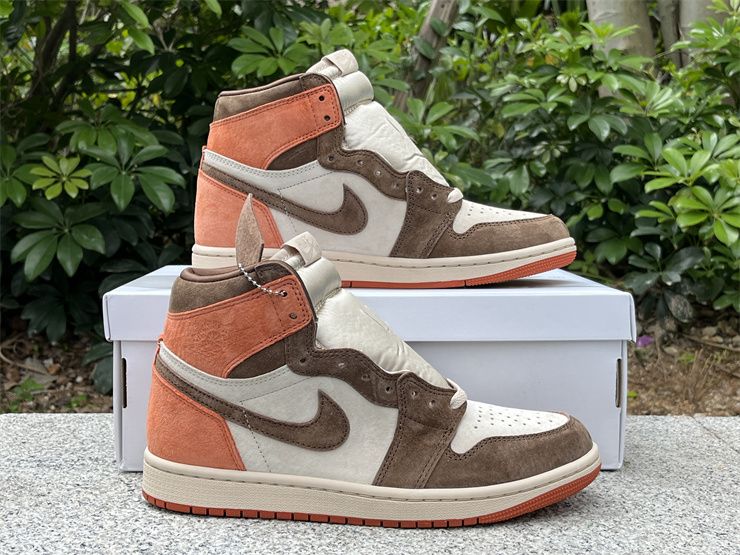Cheap Air Jordan 1 Retro Dusted Clay FQ2941-200