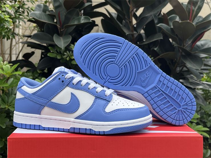 Nike Dunk Low Polar Blue DV0833-400