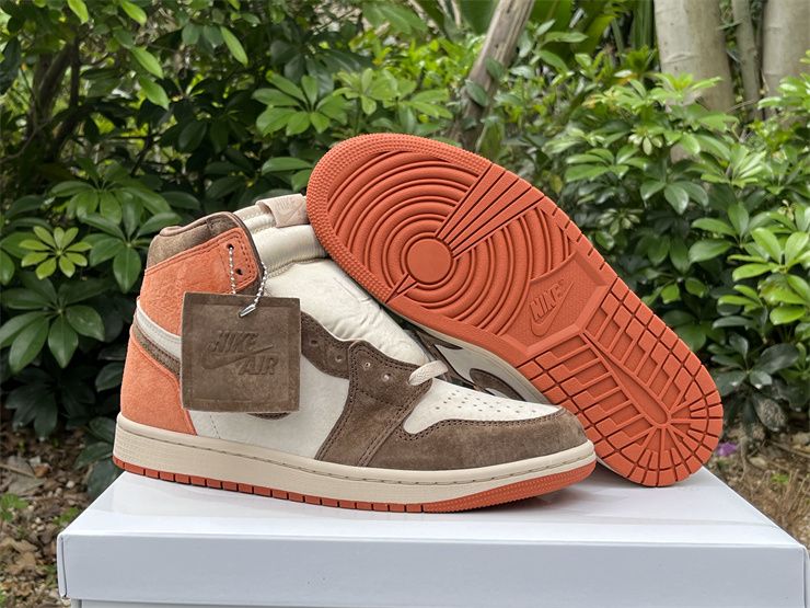 Cheap Air Jordan 1 Retro Dusted Clay FQ2941-200