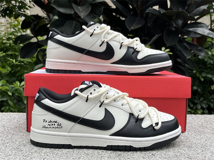 Nike SB Dunk Low DV0831-101
