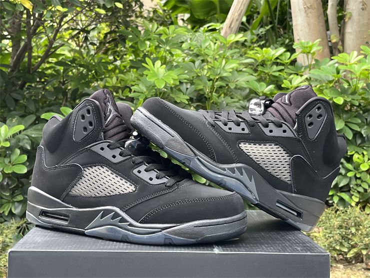 Mens Air Jordan 5 Black Cat FZ2239-001