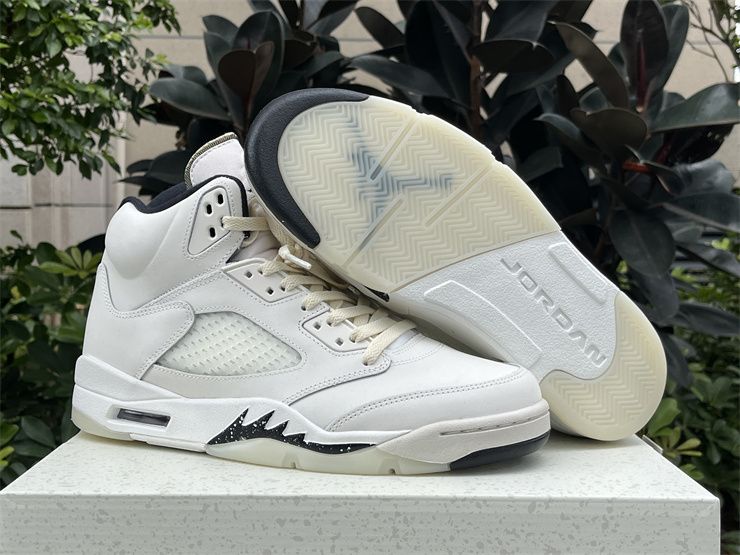 Air Jordan 5 Retro Sail FN7405-100