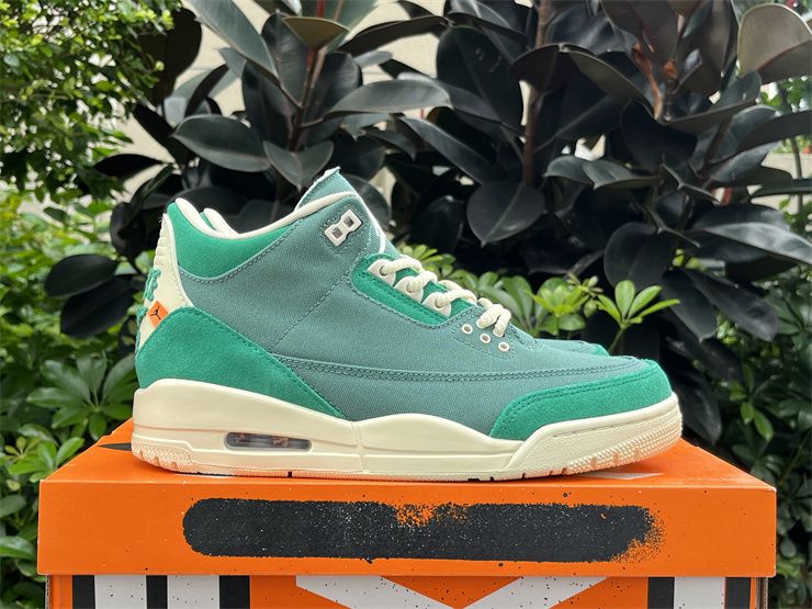 Nina Chanel Abney x Air Jordan 3 Bicoastal Sneakers FZ7974-300