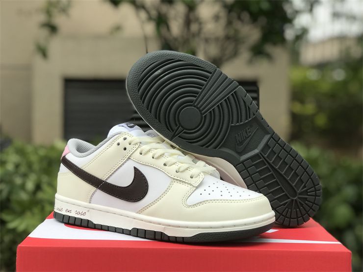 Nike Dunk Low Light Smoke Grey DD1503-117