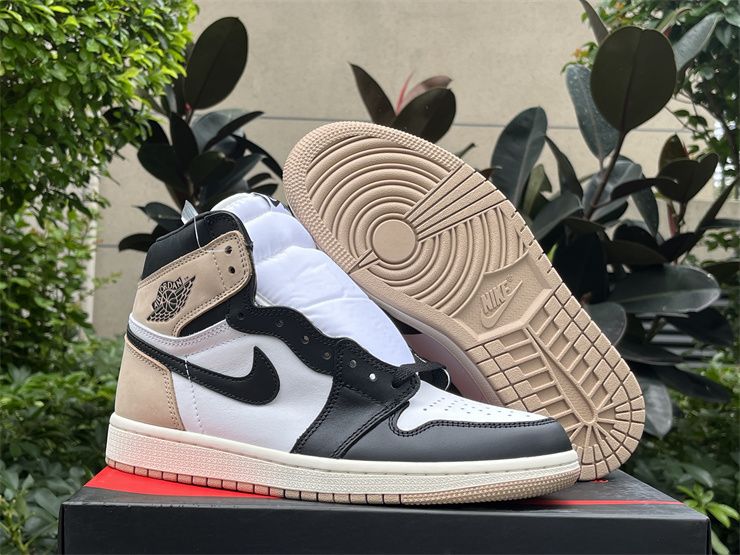 Air Jordan 1 Retro Latte FD2596-021 Cheap Shoes