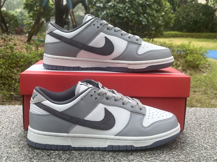 Nike Dunk Low Retro PRM Light Carbon Platinum Tint White FJ4188-100