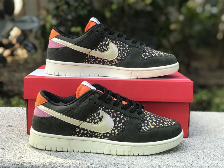 Nike Dunk Low Rainbow Trout FH7523-300