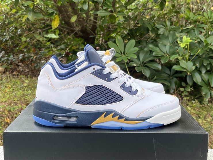 Air Jordan 5 Retro Low Dunk From Above 819171-135 Sneakers